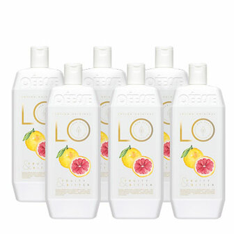 LO bath/shower gel fruity & bitter 6x 1 liter