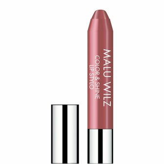 Color &amp; Shine Lip Stylo 40 Rosy Brown