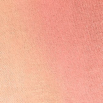 Ombr&eacute; Blusher 05 Harmony