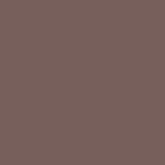 Brow Control Gel nr 06 Dark Oak