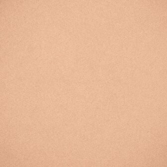 Soft Porcelain Nr.01 Just Minerals Powder Foundation 