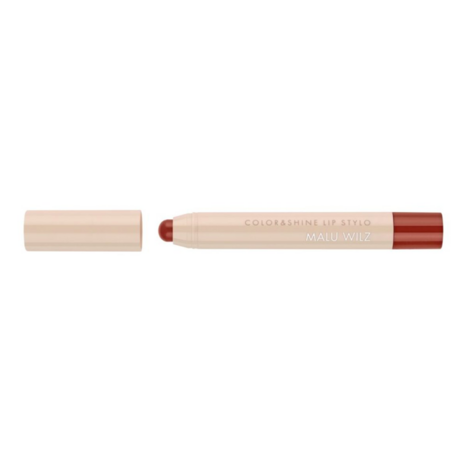 Color & Shine Lip Stylo 34 Cinnamon Flame