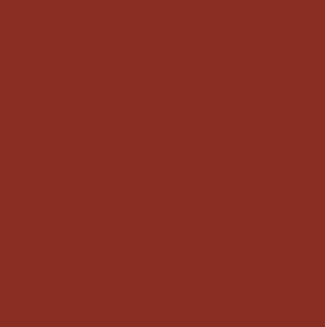 Color & Shine Lip Stylo 34 Cinnamon Flame