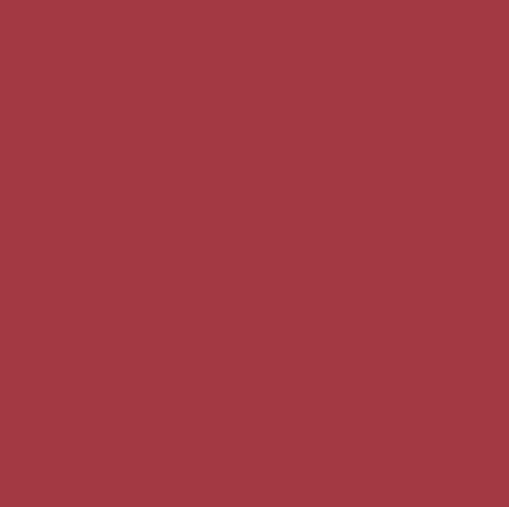 Color & Shine Lip Stylo 40 Rosy Brown