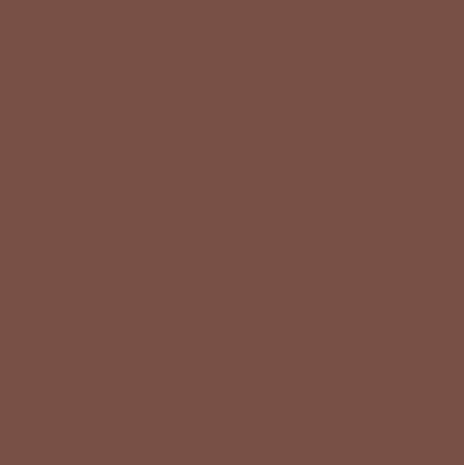 Eye Brow Designer nr 26 Latte 