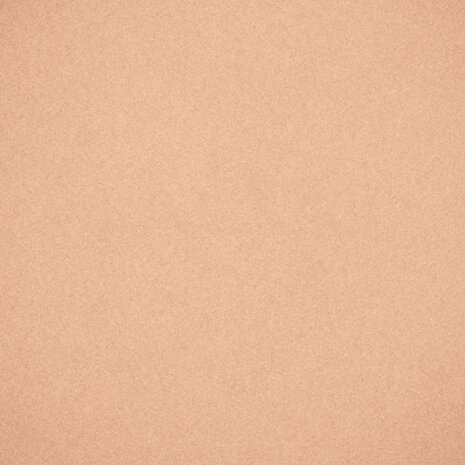 Soft Porcelain Nr.01 Just Minerals Powder Foundation 