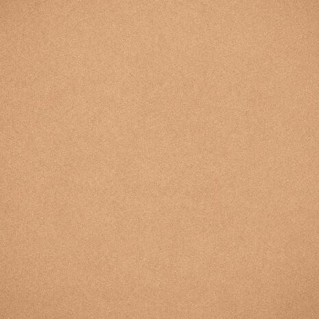  Abrikoos Balance No.06  Just Minerals Powder Foundation 