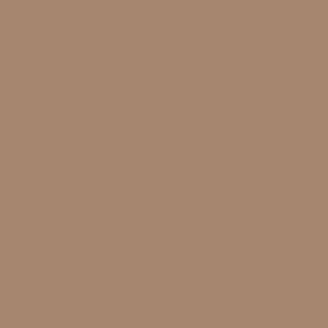 BB cream nr.12  Warm Amber 