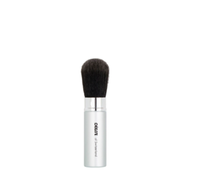 Powder brush matt silver